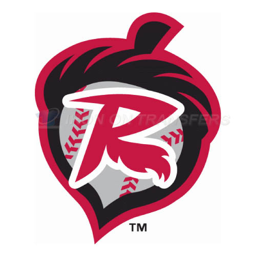 Richmond Flying Squirrels Iron-on Stickers (Heat Transfers)NO.7869